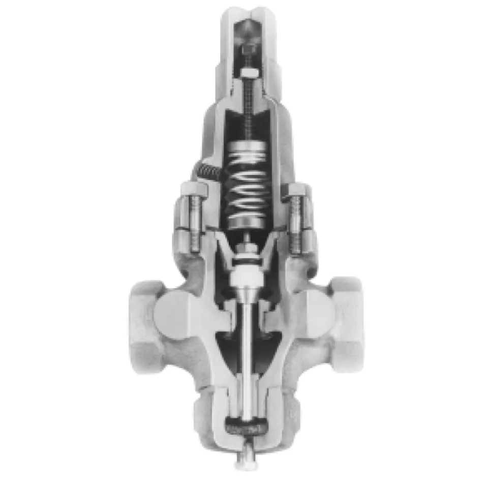 Type N6 Differential Pressure Valves